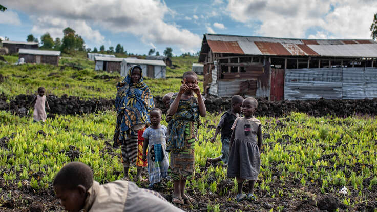 A family picks crops on their farm in the Democratic Republic of Congo.