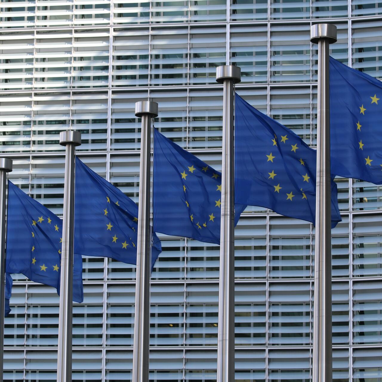 EU flags in a row